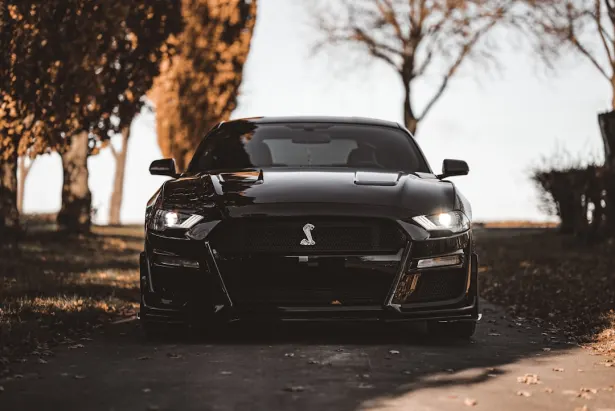 Casino Golden Palace Aip Android/iOS